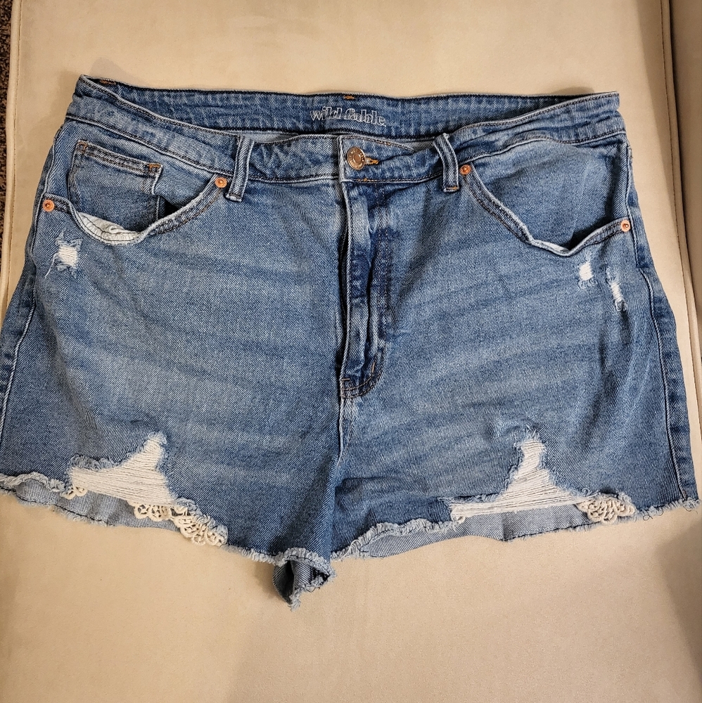 Wild Fable shorts